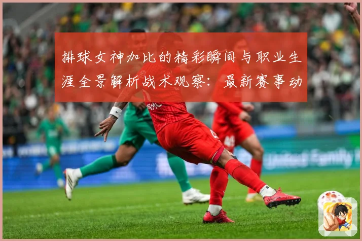 排球女神加比的精彩瞬间与职业生涯全景解析战术观察：最新赛事动态与深度分析
