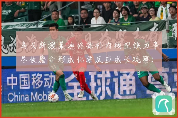乌戈新援莱迪将弥补内线空缺力争尽快磨合形成化学反应成长观察：最新赛事动态与深度分析