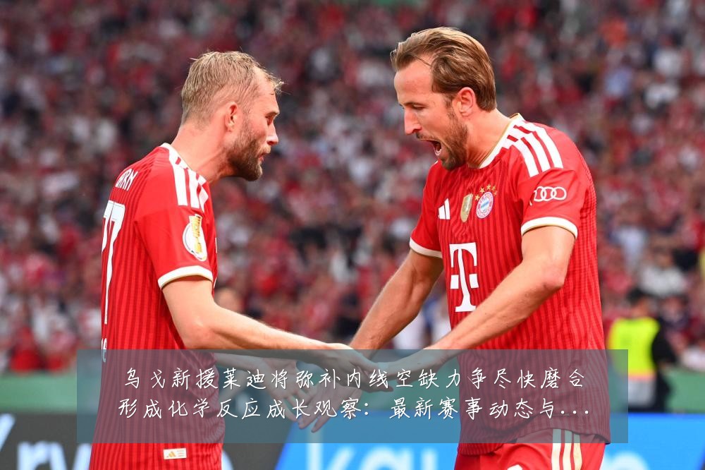 乌戈新援莱迪将弥补内线空缺力争尽快磨合形成化学反应成长观察:最新赛事动态与深度分析