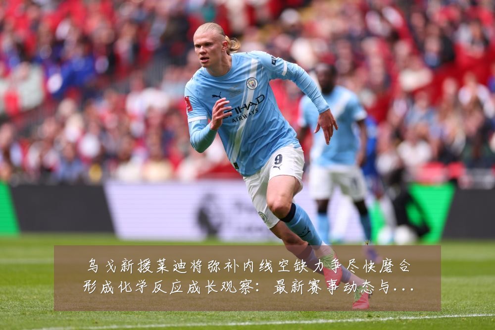 乌戈新援莱迪将弥补内线空缺力争尽快磨合形成化学反应成长观察:最新赛事动态与深度分析
